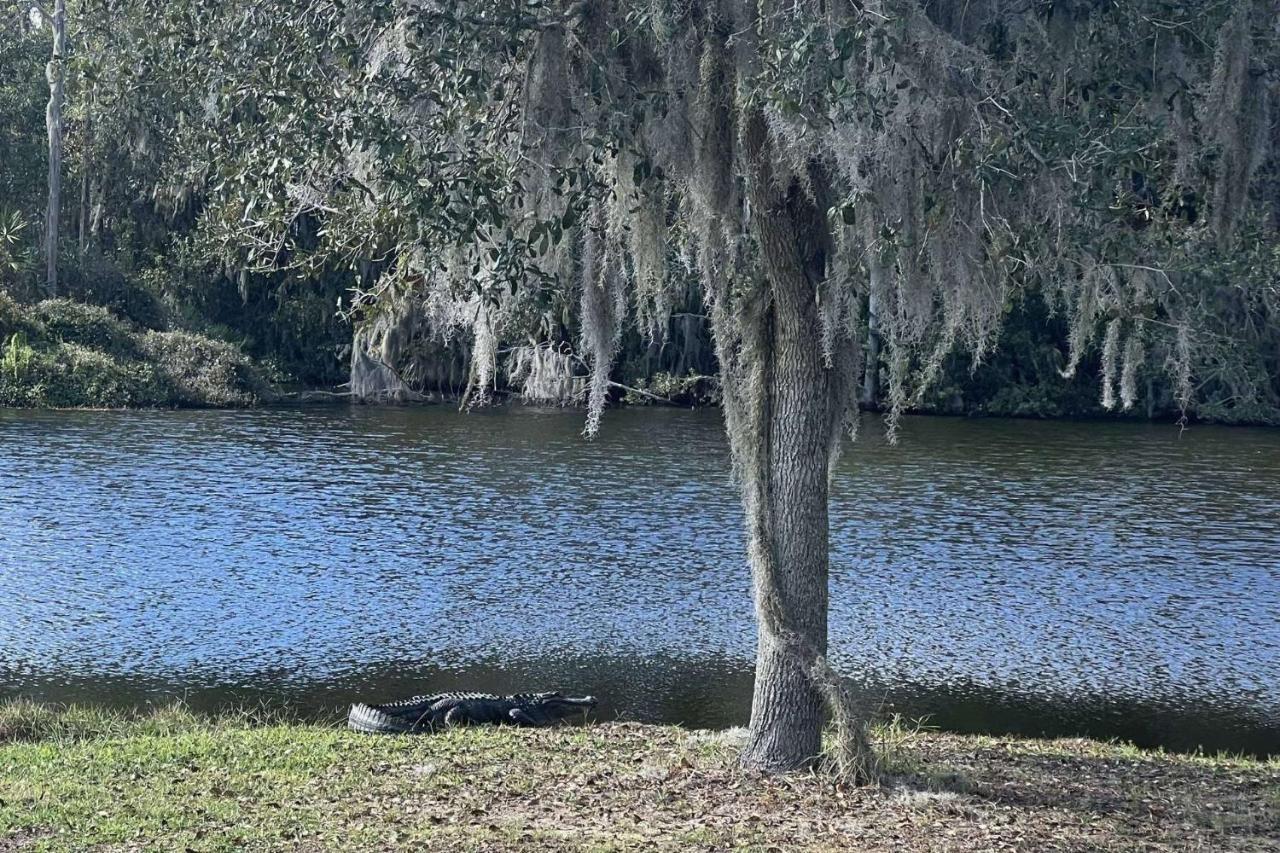 Serene Hideaway Wesley Chapel Extérieur photo