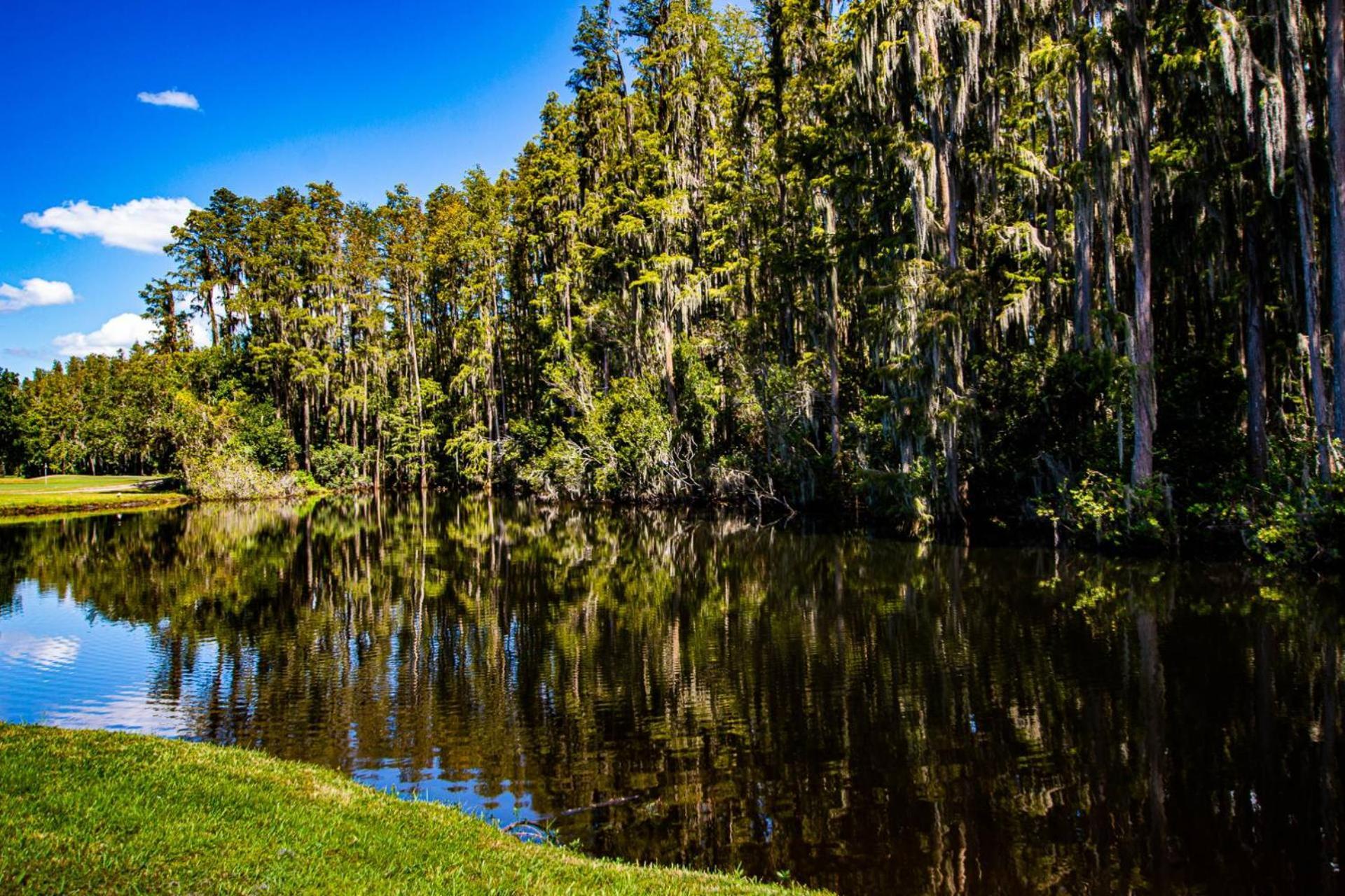 Serene Hideaway Wesley Chapel Extérieur photo